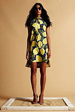 RESORT 2013 Look 4